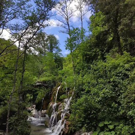 & Bike Capelli Di Venere